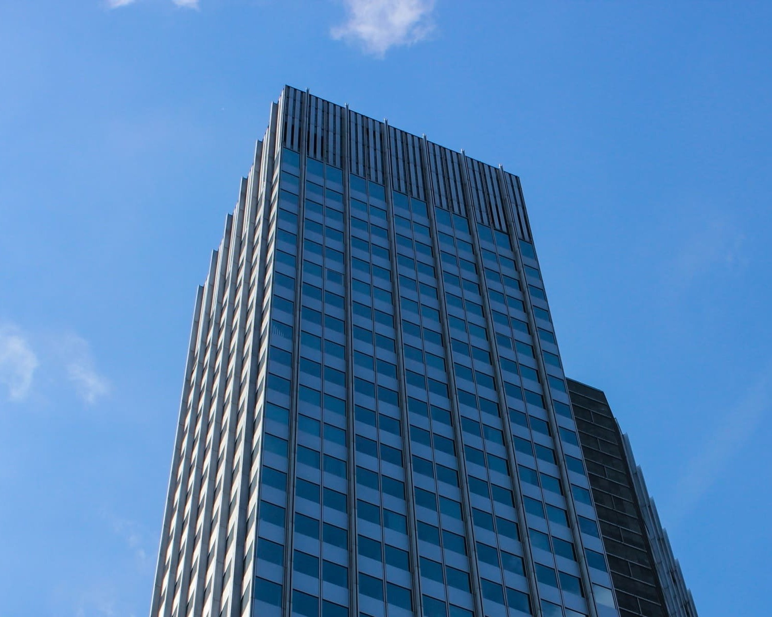 company (1)